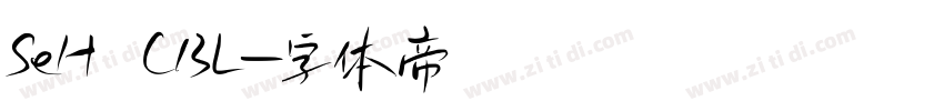 SeH CBL字体转换